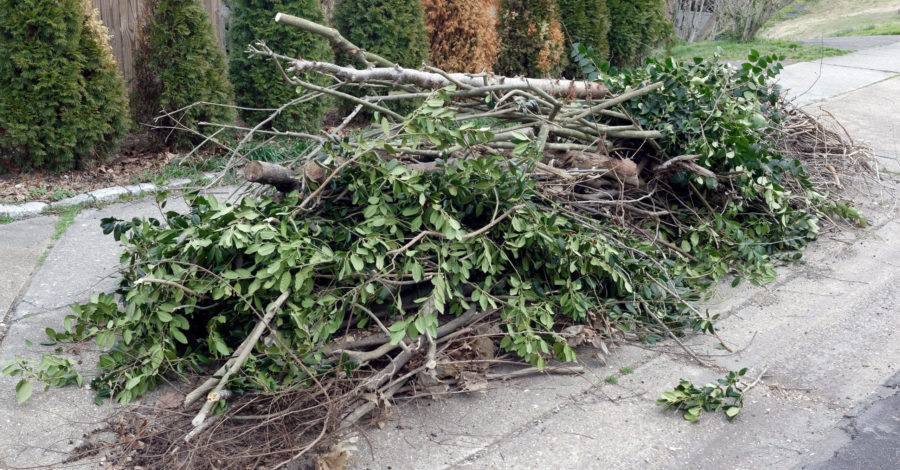 Pile of branches and brush cleared from a yard, ready for removal