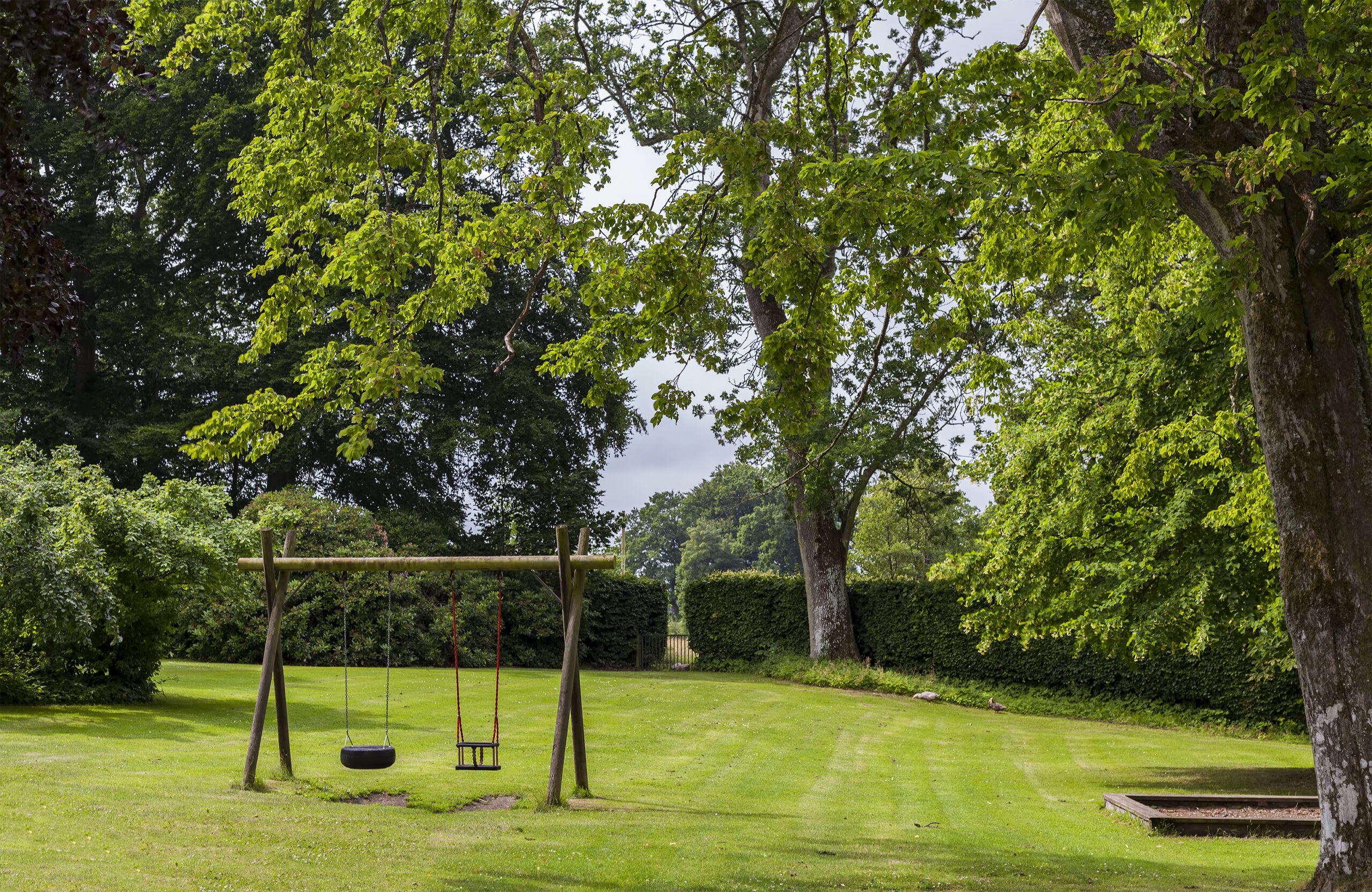 An empty swing set in a lush, green park, suggesting a serene and peaceful play area in a natural setting.